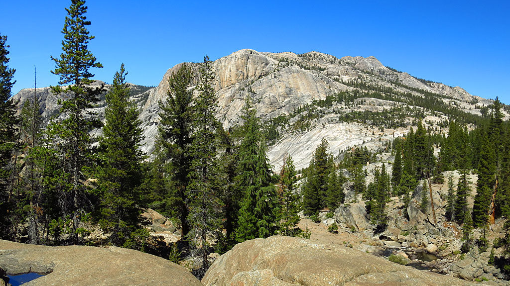 Massive expanses of granite define Yosemite.