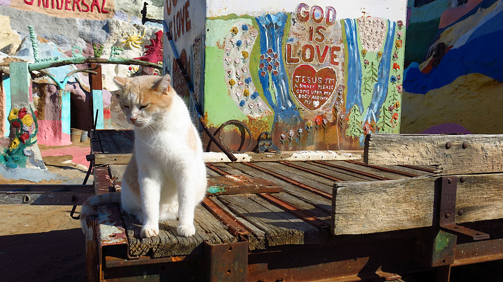 God is love; cats love God, therefore cats are God.
