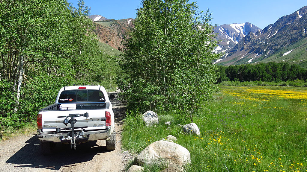 After climbing the moraine at the north end of the valley, the road follows Laurel Creek through a meadow. Spring arrived at 9,000' in July.