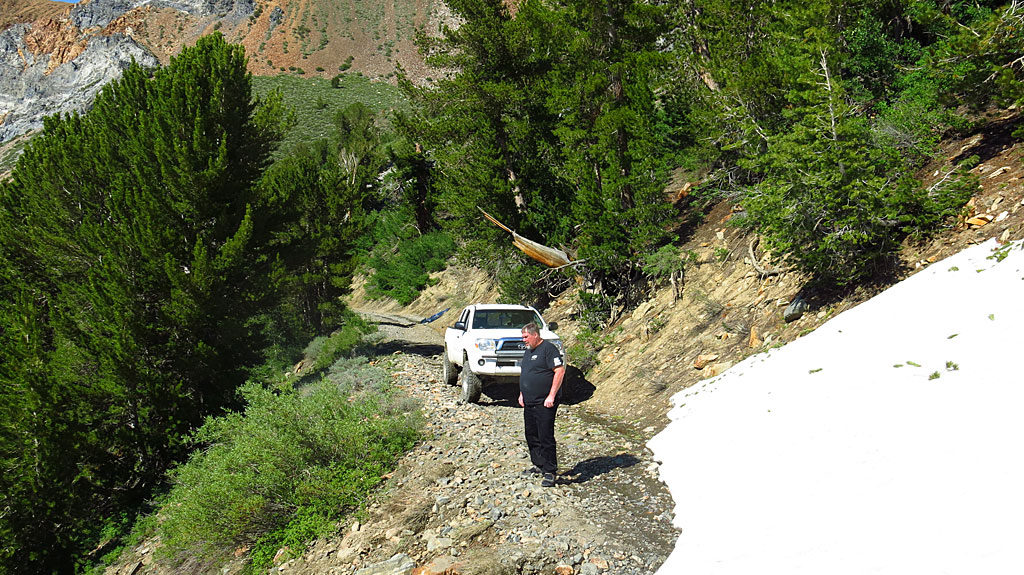 At 10,000' we hit big snow and we were done. The snow appeared to be an old avalanche, carrying varying sizes of tree chunks. At the bottom of the snowfall, smaller pines were semi-pushed over.
