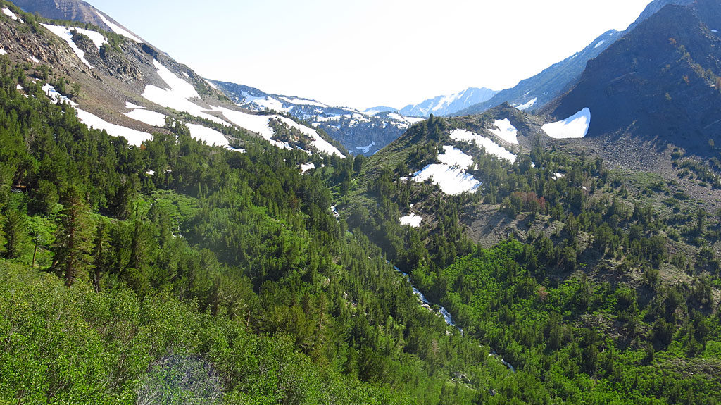 The waterfall is the outflow from Laurel Lakes, located on the other side of the smaller, closer saddle. The snowy road can be seen along the left, tree-free (but not snow-free) slope.