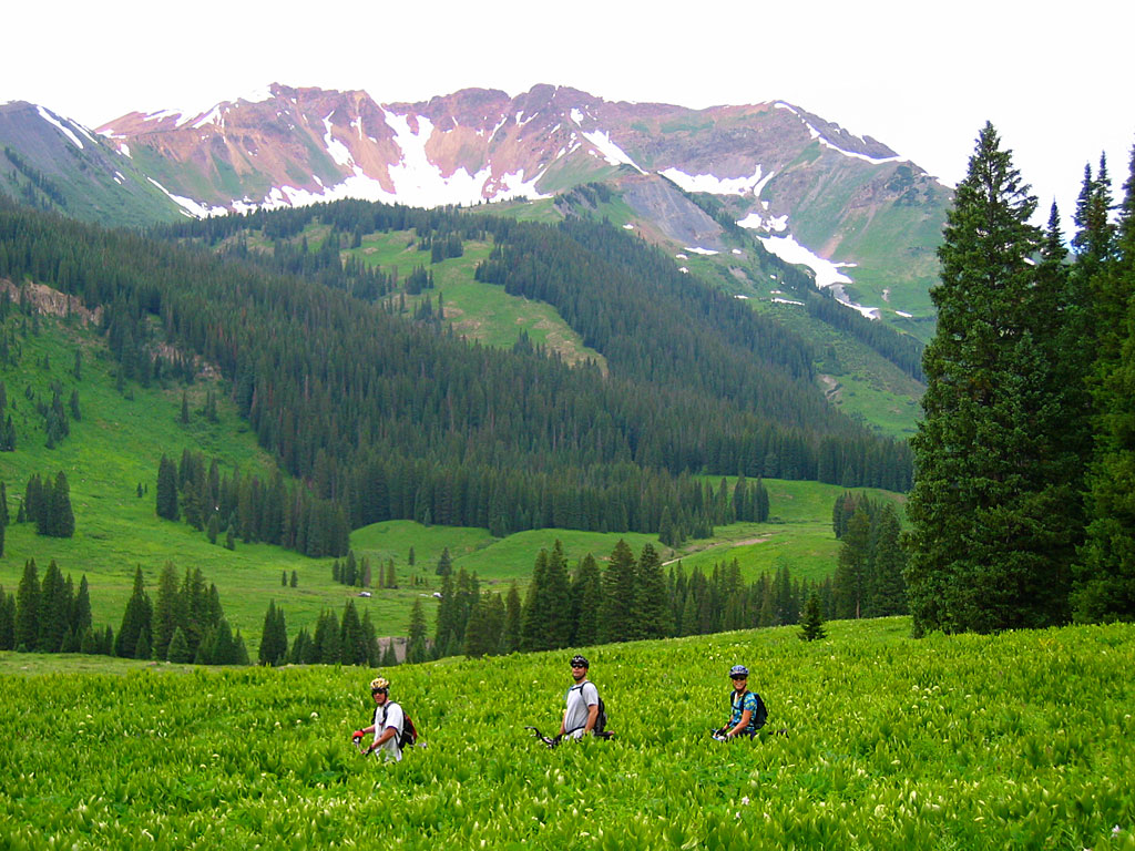 For the most part, the 401 is buff singletrack - the downhill is fun and fast. The bottom of the trail is around 9,000' elevation, and the top is close to timberline at 11,000'. Skeeny air for our sea-level lungs. For the most part, the 401 is buff singletrack - the downhill is fun and fast. The bottom of the trail is around 9,000' elevation, and the top is close to timberline at 11,000'. Skeeny air for our sea-level lungs.