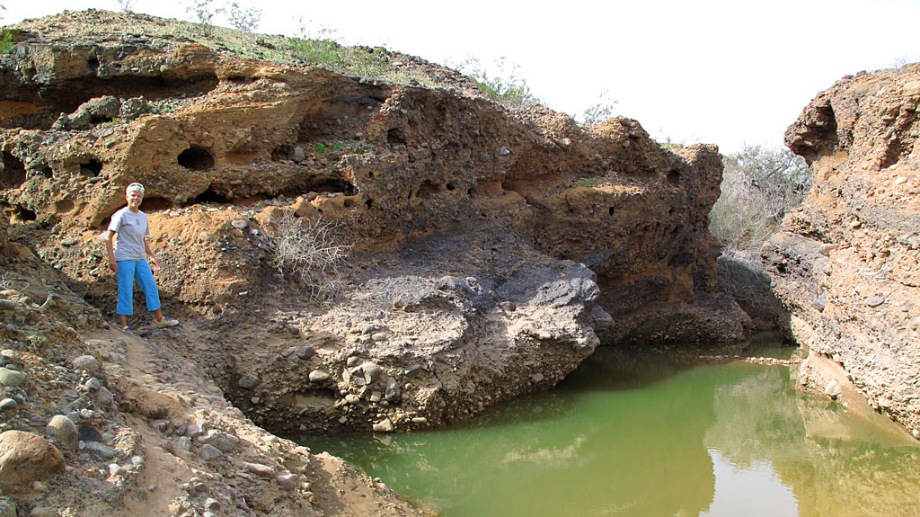 Exploring a wash which was filled with recent rain water. Exploring a wash which was filled with recent rain water.