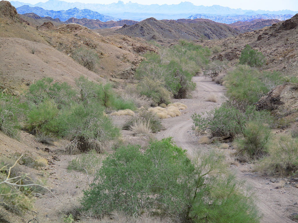 The view down Indian Pass, toward the Rio Colorado. The hills/mountains in the distance, are in the Yuma Proving Grounds, in Arizona. The view down Indian Pass, toward the Rio Colorado. The hills/mountains in the distance, are in the Yuma Proving Grounds, in Arizona.