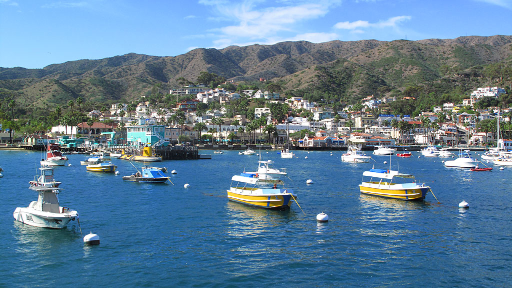 Avalon Harbor - the Green Pleasure Pier is on the left. Avalon Harbor - the Green Pleasure Pier is on the left.