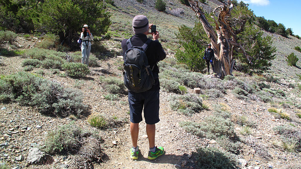 Everyone armed with a camera. Everyone armed with a camera.