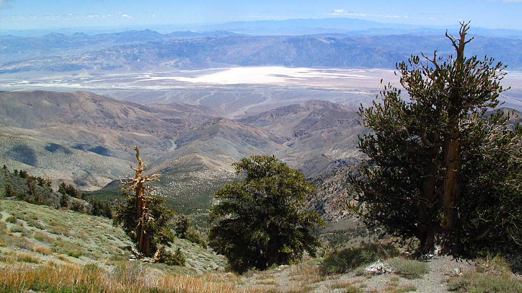 Badwater Basin, the lowest spot in Death Valley and the Western Hemisphere (-282'), seen from near the top of Telescope. Badwater Basin, the lowest spot in Death Valley and the Western Hemisphere (-282'), seen from near the top of Telescope.