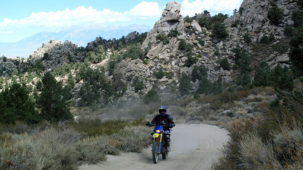 The road to Coyote Flats climbs steeply after leaving Bishop, following canyons and along ridges in pine trees. The road to Coyote Flats climbs steeply after leaving Bishop, following canyons and along ridges in pine trees.