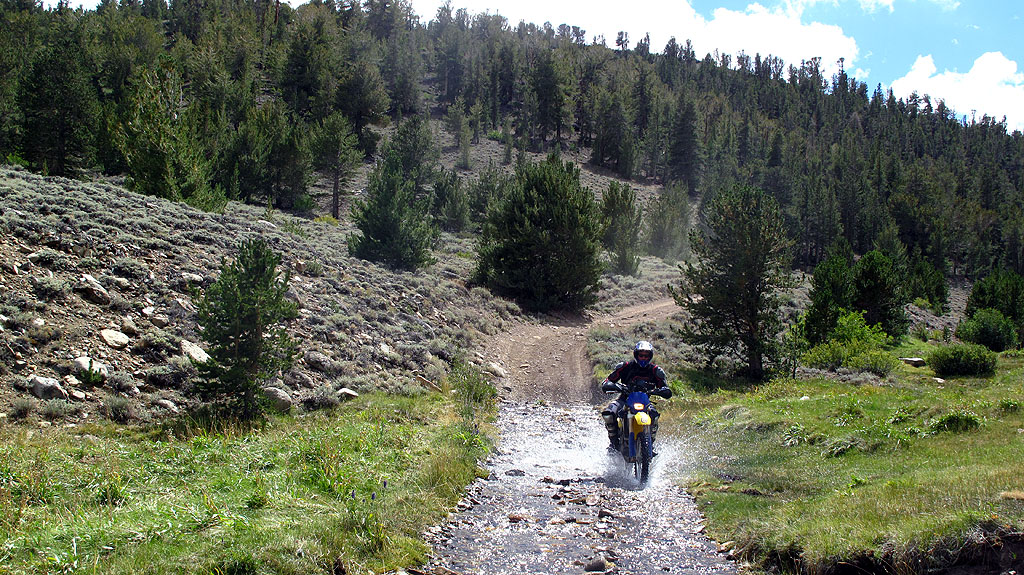 Steve crossing Coyote Creek. Steve crossing Coyote Creek.