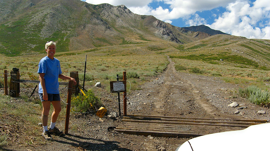 Opening the barbed wire gate at the bottom of the road. Opening the barbed wire gate at the bottom of the road.