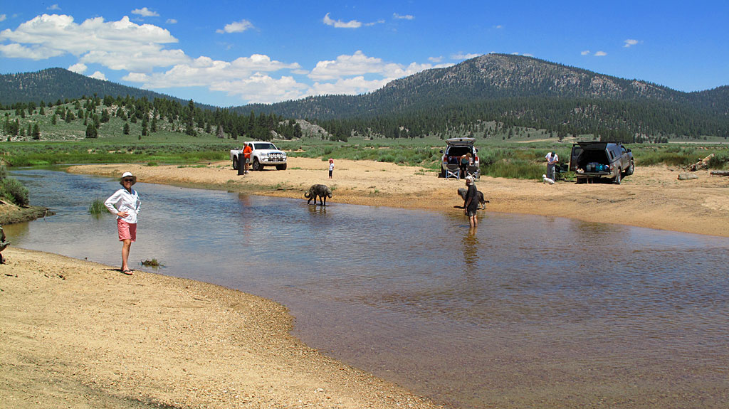 Hanging out along the Kern.