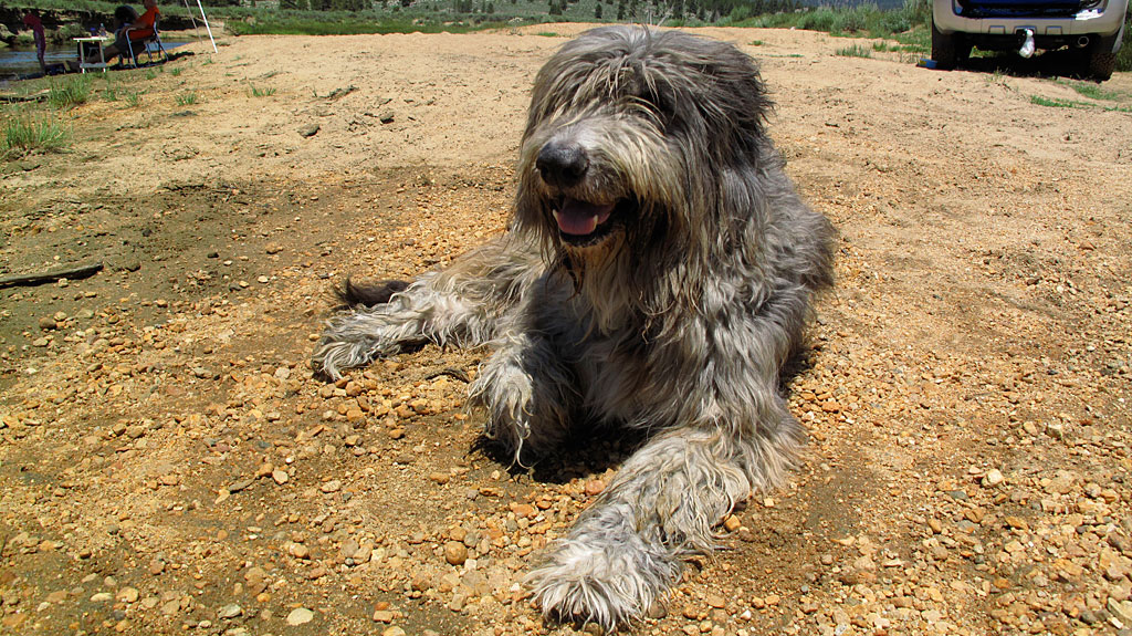 Murphy Murphy
