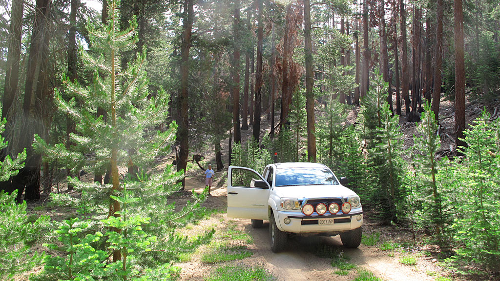 The east/top end of the Sherman Pass Road. The east/top end of the Sherman Pass Road.