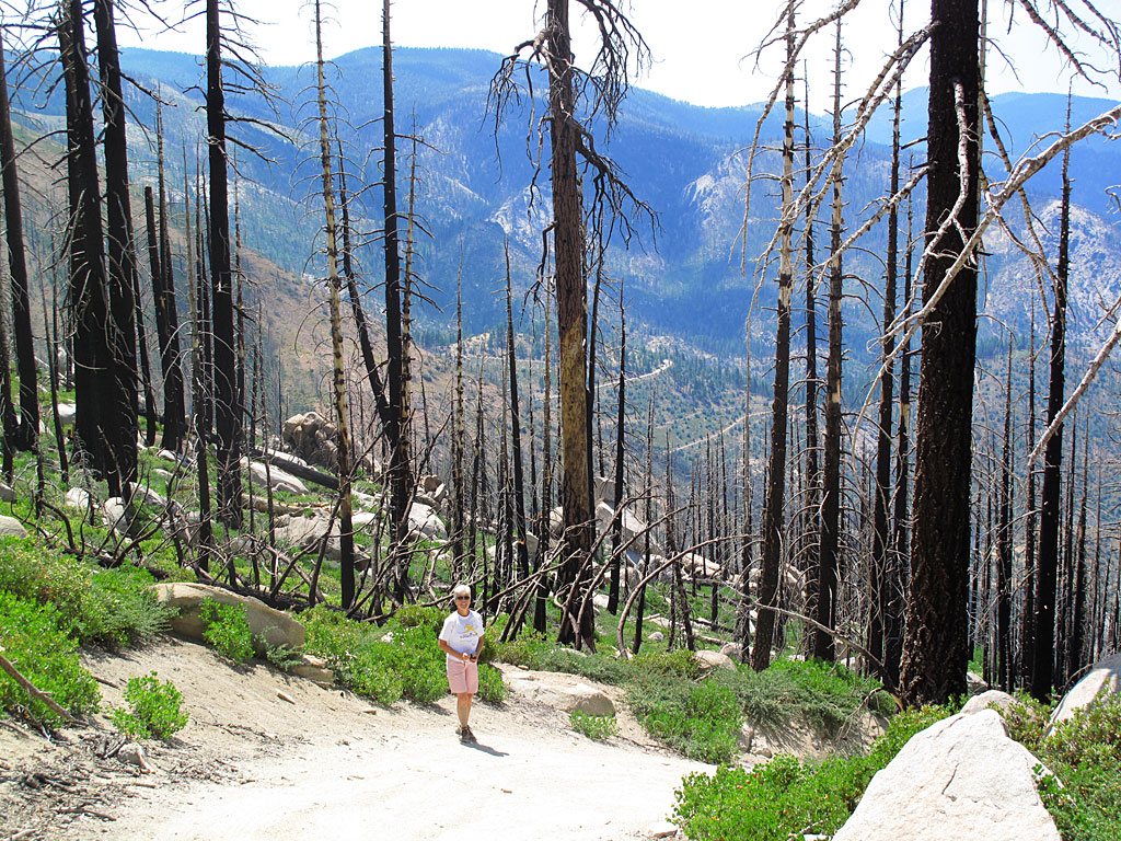 A couple times, when the road dropped off fairly steeply, Carol decided that walking was better than riding. The burned trees gave us great views that we'd otherwise not have (read: high anxiety). A couple times, when the road dropped off fairly steeply, Carol decided that walking was better than riding. The burned trees gave us great views that we'd otherwise not have (read: high anxiety).