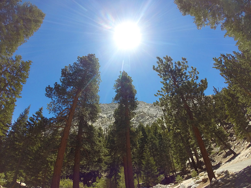 Looking up at the granite walls above Whitney Portal.