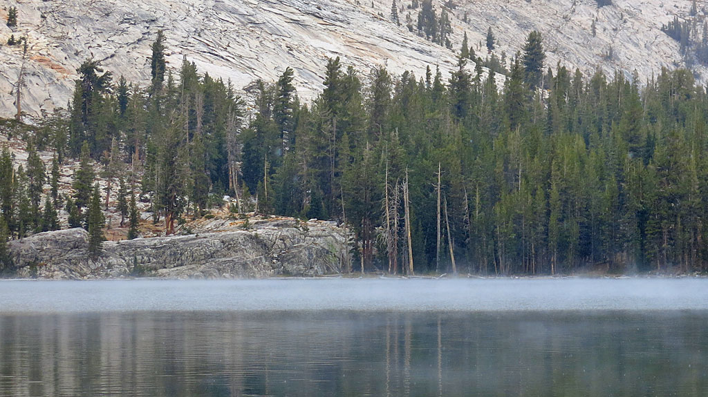 While we were hiking around May Lake, a 2' thick layer of fog formed over one end of the lake, reminiscent of The Crawling Eye.