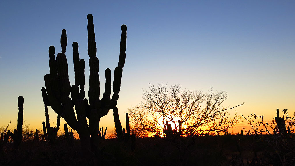 Symbolic sunset photo, transitioning from prerunning to race day.