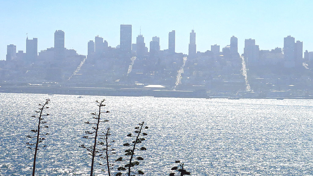 San Francisco's North Beach neighborhood.