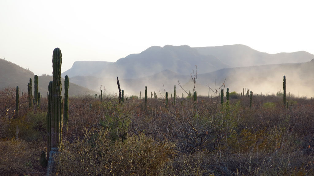 Racers in the distance, headed to La Paz.