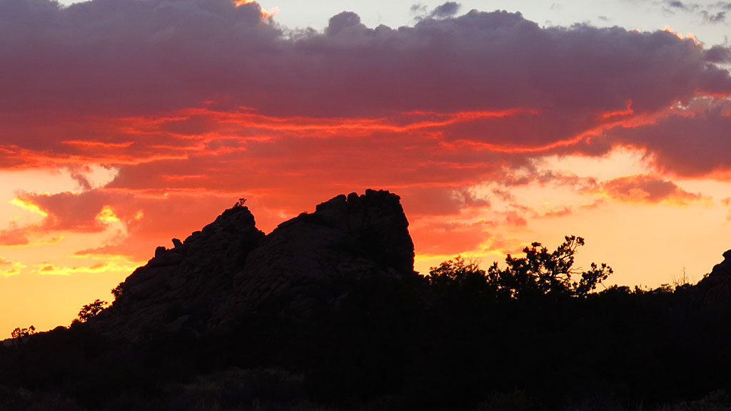Friday night sunset. Did somebody say Lion King?