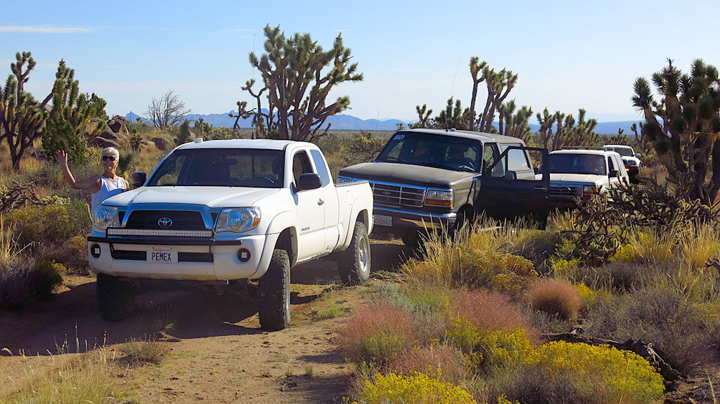 Stopping for photos in an area of thick, happy desert.
