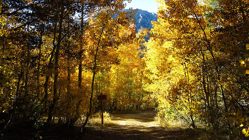 The trail to Lake Dorothy. The best fall colors were over 9,000' elevation, but slowly creeping down the mountain.