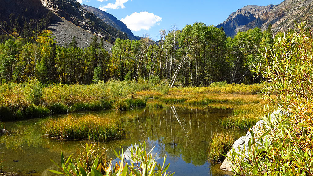 A beaver-dammed lake on Mill Creek. At only 8,000', trees were only beginning to change color.