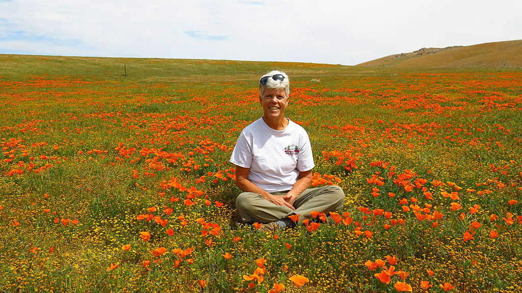 Poppies make everyone frolic. Like that part of the Wizard of Oz, where they're running across the field toward Oz, while it's snowing, falling asleep ...