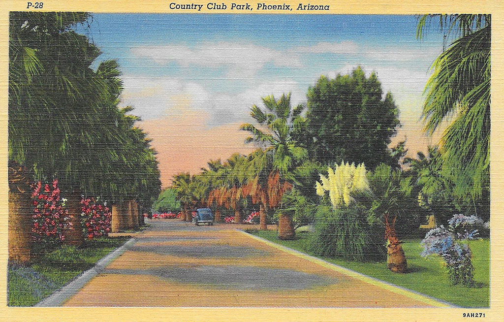 On front: Country Club Park, Phoenix, Arizona.