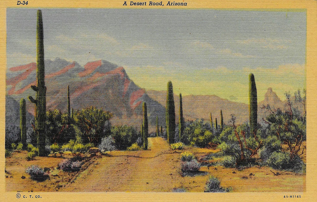 On front: A desert road, Arizona.