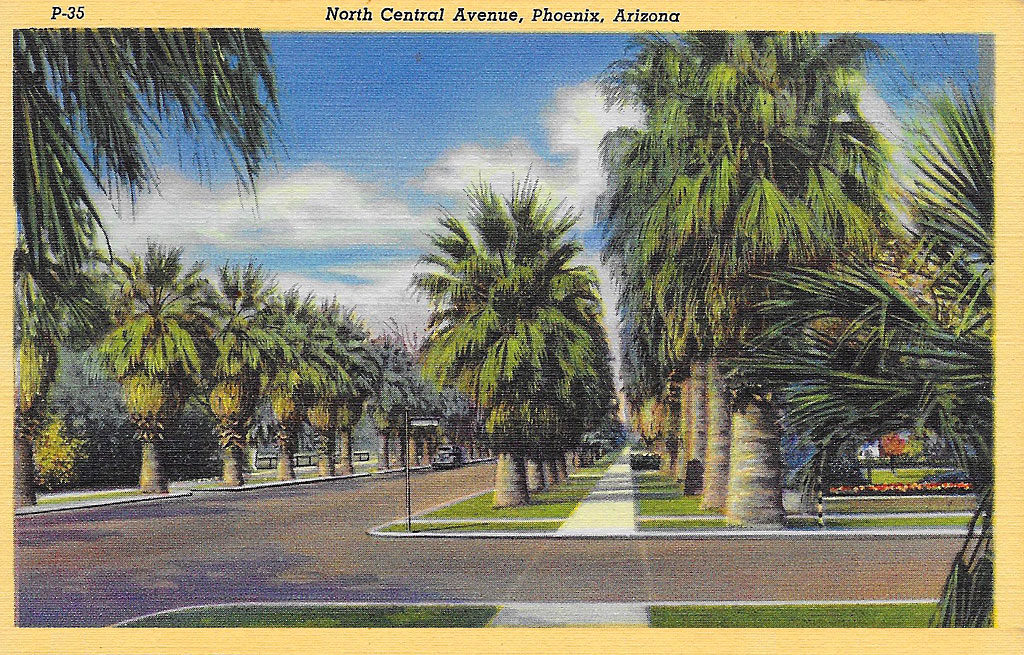 On back: One of the most beautiful drives in the Southwest, is that going out North Central Avenue in Phoenix -- a palm-lined lane, flanked by stately residences and orchards.