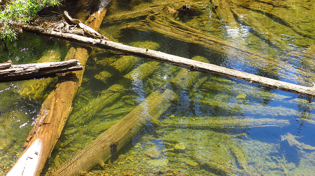 Lots of clear water flowing into Virginia Lakes -- let's celebrate by turning on our garden hoses!