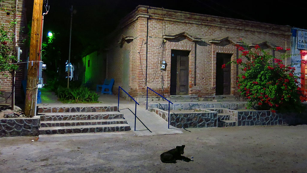 A small tienda on Benito Juárez under a dog's watchful eye.