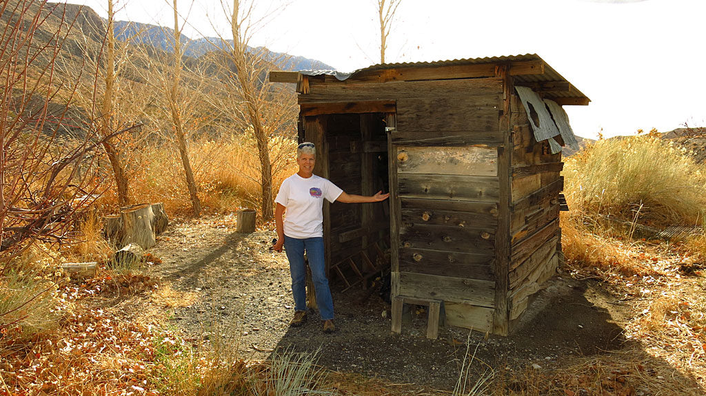 Our first stop up the canyon was at the Diggin's, a semi-active mining claim with some left-over infrastructure. Water flowed from the locked-up mine, running past grape arbors and cottonwood trees. And that there is the Slim Princess.