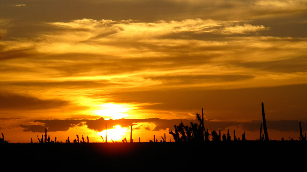 Sunset, south of San Ignacio.